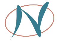 Nisius Technologies Logo